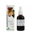 Extracto de harpagofito 50 ml de Soria Natural