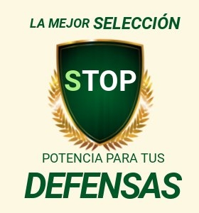 La MEJOR Selección de productos para potenciar tus defensas