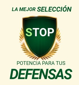 La MEJOR Selección de productos para potenciar tus defensas