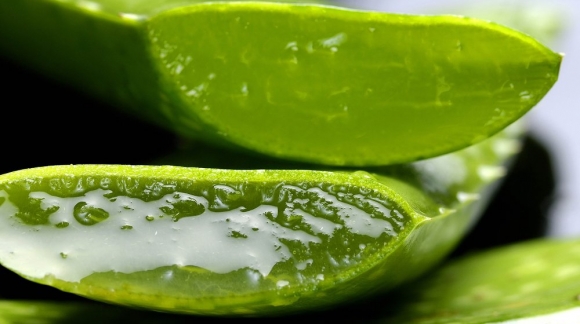 5 usos del Aloe vera aparte del que conoces, incluyendo perder peso